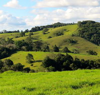 Maleny Springs Farm - Accommodation NSW