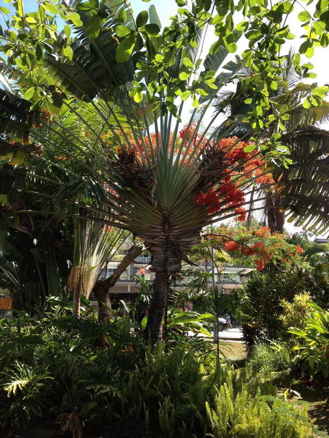 Port Douglas Apartments - Adults Only Oasis - Accommodation NSW 39
