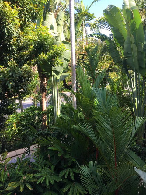 Port Douglas Apartments - Adults Only Oasis - Accommodation NSW 1