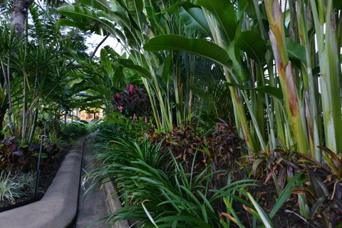 Port Douglas Apartments - Adults Only Oasis - Accommodation NSW 9