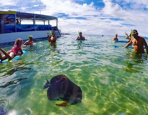 Magnetic Island Guest House - Accommodation NSW 20