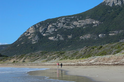 Mountain Seas Lodge - Accommodation NSW 17