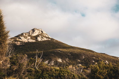 Mountain Seas Lodge - Accommodation NSW 5