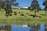 Book Nabiac Accommodation Vacations Accommodation NSW Accommodation NSW
