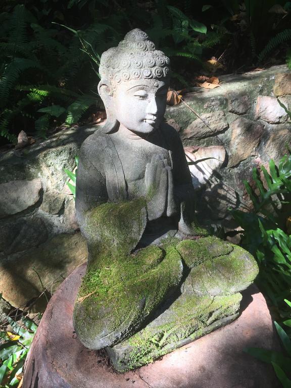 Coolum QLD Accommodation NSW