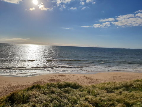 (Pets Welcome) Southern Comfort - Accommodation NSW 2