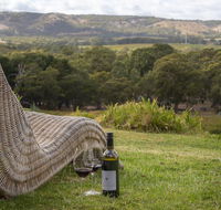 131 Your Vineyard Home in the heart of the Vale - Accommodation NSW