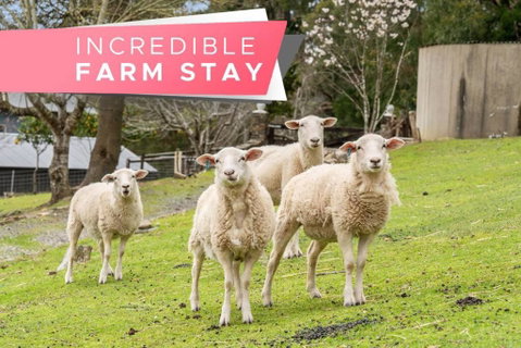 Carawatha On The Range - Unique Farm Stay - Accommodation NSW 0