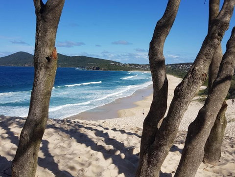 CHILL-OUT BEACH HOUSE - One Mile Beach - Accommodation NSW 3