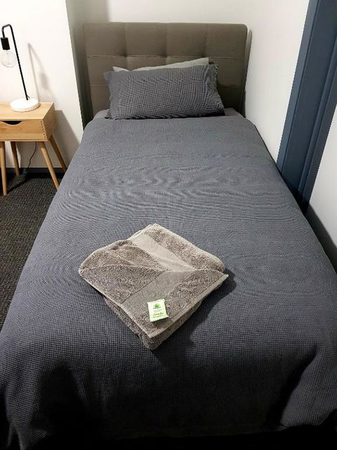 Criterion Hotel Grenfell - Accommodation NSW 4