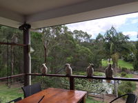 Book Upper Coomera Accommodation Vacations Accommodation NSW Accommodation NSW