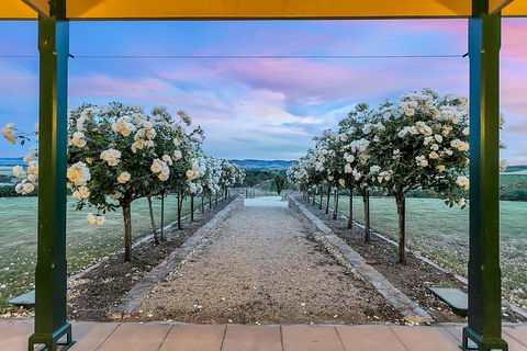 Abbotsford Country House Barossa Valley - Accommodation NSW 1