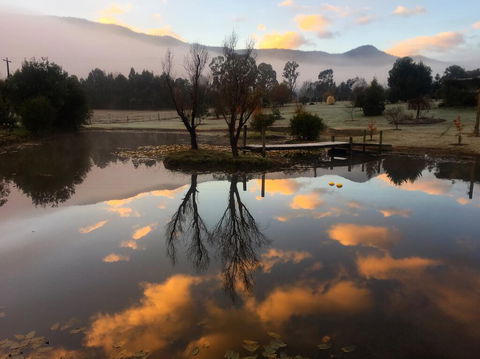 Acheron Acres Riverside - Accommodation NSW 2