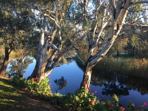 Donald Riverside Motel - Accommodation NSW 0