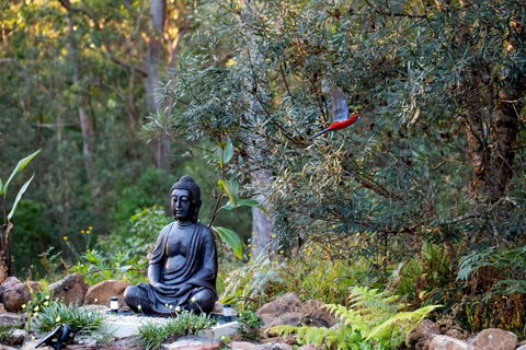 Dorrigo Bush Pepper Retreat - Accommodation NSW 4