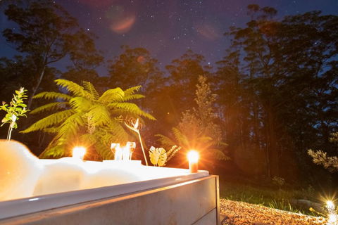 Dorrigo Bush Pepper Retreat - Accommodation NSW 2
