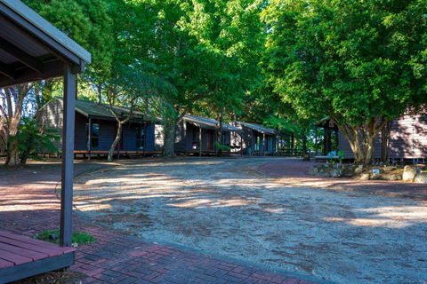 Dorrigo Mountain Holiday Park - Accommodation NSW 2