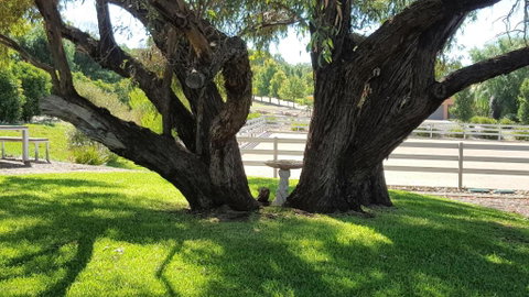 Equestrian Farm Stay - Accommodation NSW 0