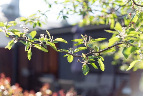 Gorgeous On Gleadow: The Twin - Accommodation NSW 4