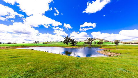 Hillview Farmstay - Accommodation NSW 0