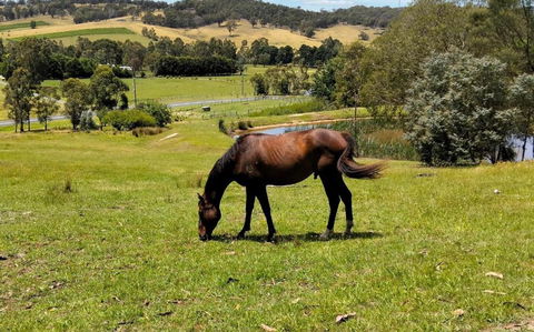 Honeycomb Hill Of Yarra Valley - Accommodation NSW 3
