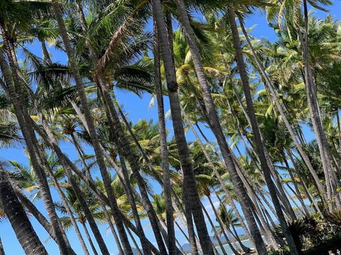IMPORTANT MESSAGE This Property Is Not Currently Available For Holiday Letting - Accommodation NSW 1