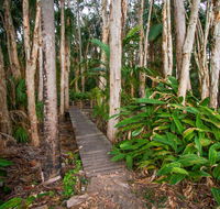 Agnes Palms Accommodation - Accommodation NSW
