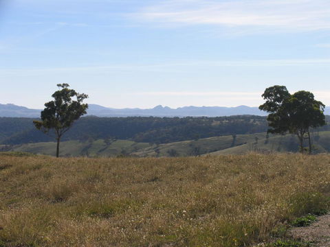 Almas Cottage - Accommodation NSW 2