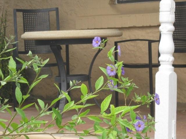 Geranium SA Accommodation NSW