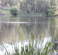 Arcadian Cabin - Southern Highlands River Retreat - Accommodation NSW