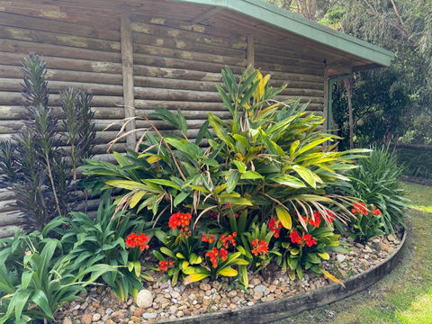 Mallacoota Log Cabins - Accommodation NSW 2