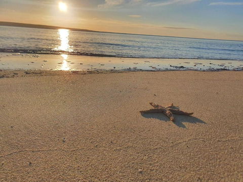 Matildas Of Kangaroo Island - Accommodation NSW 1