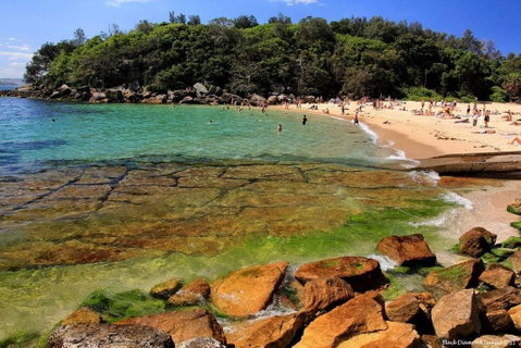 NEW! Ideal 1BR Beachside Studio With Pool - Accommodation NSW 3