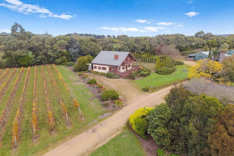 Northway Downs Estate Vineyard - Accommodation NSW 3