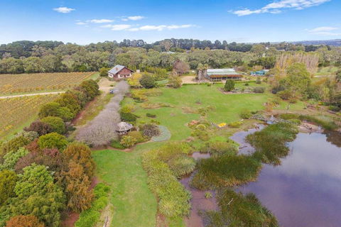 Northway Downs Estate Vineyard - Accommodation NSW 2