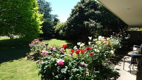 Opal Motel - Accommodation NSW 2