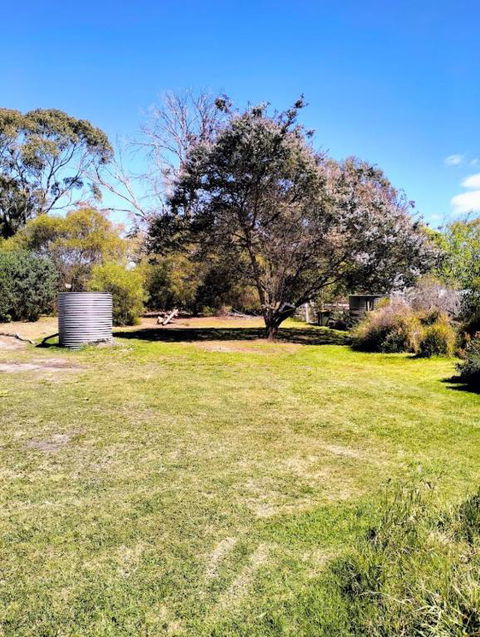 Peaceful Pet Friendly 1 Bedroom Cottage On 1 Acre - Accommodation NSW 3