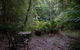 Parkwood Cottage - thumb 1
