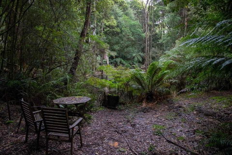 Parkwood Cottage - Accommodation NSW 1