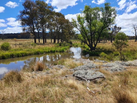 Parlour Mountain Cottage - Accommodation NSW 1