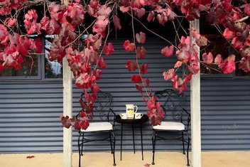 Peaceful Getaway In Stunning Bush Setting with Accommodation NSW