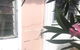 Pink Door By The Seashore - thumb 2