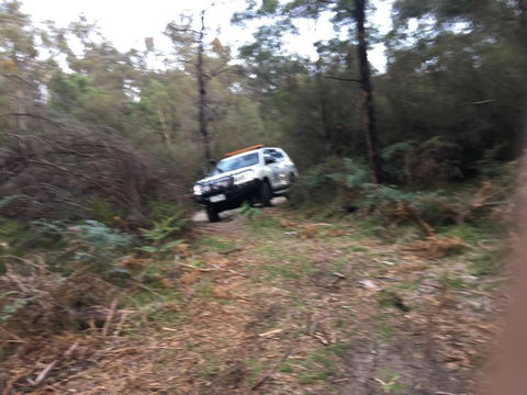 PNL4WDriving Bairnsdale Hub - Accommodation NSW 0