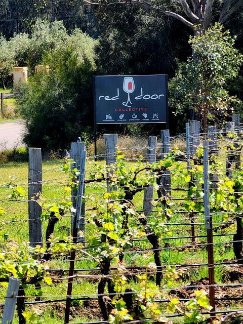 Red Door Collective - RDC Vineyard Estate, Luxury Adult Only Stay - Accommodation NSW 1