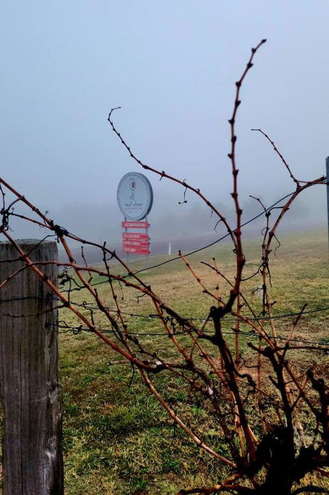 Red Door Collective - RDC Vineyard Estate, Luxury Adult Only Stay - Accommodation NSW 3