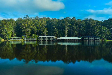 RAC Karri Valley Resort - Accommodation NSW 2