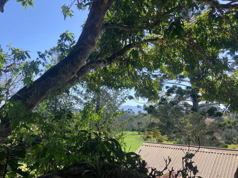 Potters Cottage - Accommodation NSW 3
