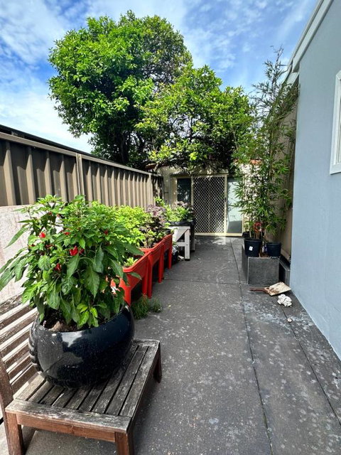Private, Local Living Studio In Mascot, Airport - Accommodation NSW 2