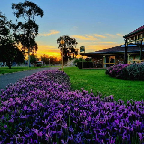 Quality Inn Carriage House - Accommodation NSW 1