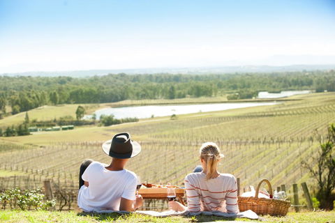 Audrey Wilkinson Vineyard - Accommodation NSW 0